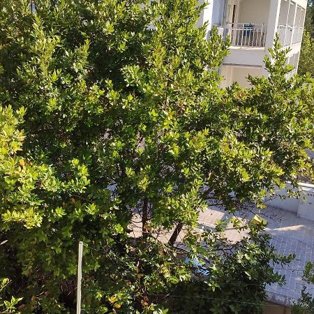 Apartments Ivo Makarska Bagian luar foto
